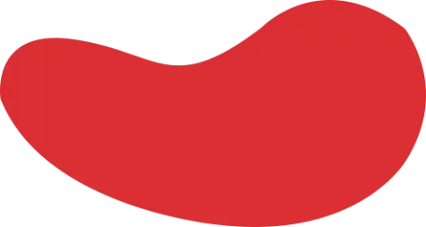 B体育 (Bsports)中国官网 - 全球赛事同步直击